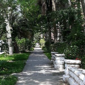 Meet your Posher, Ann